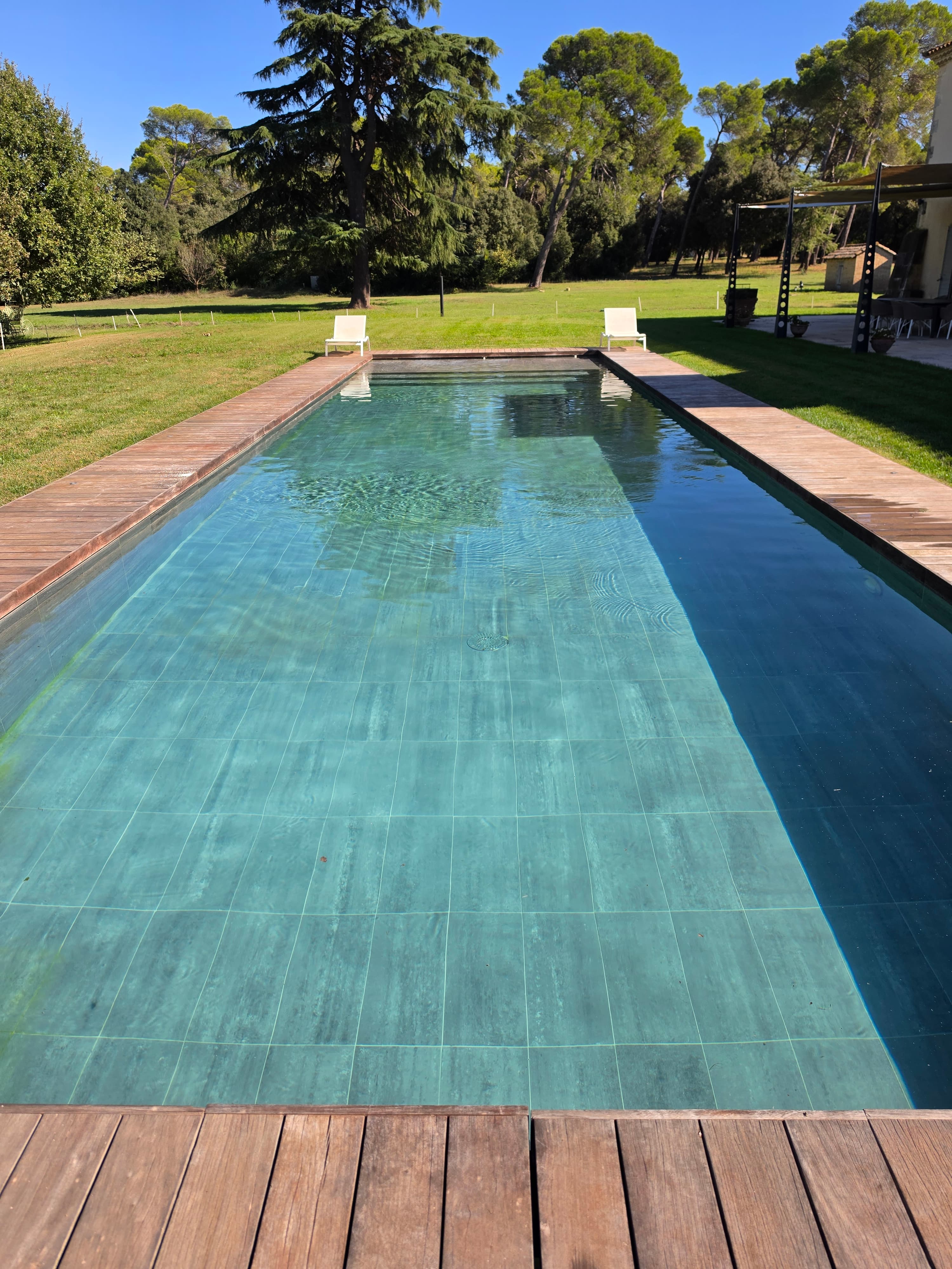 Pool edged with a wooden deck, beneath tall trees